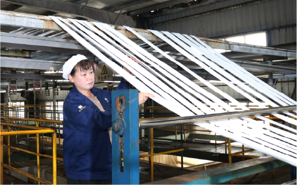 polyester production line