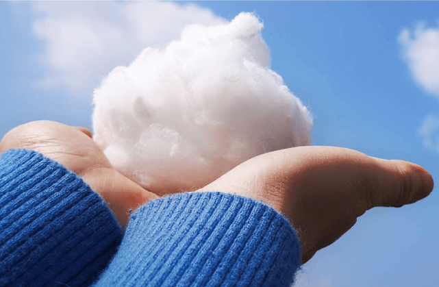 Polyester Staple Fiber